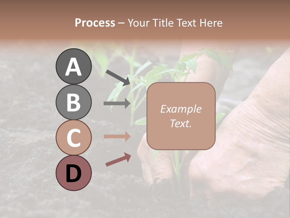 Seedling Greenhouse Sticking PowerPoint Template