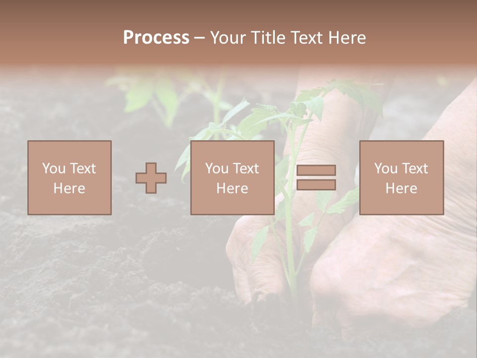 Seedling Greenhouse Sticking PowerPoint Template