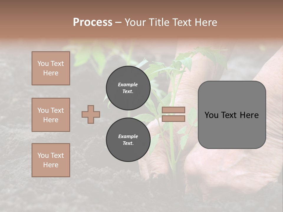 Seedling Greenhouse Sticking PowerPoint Template