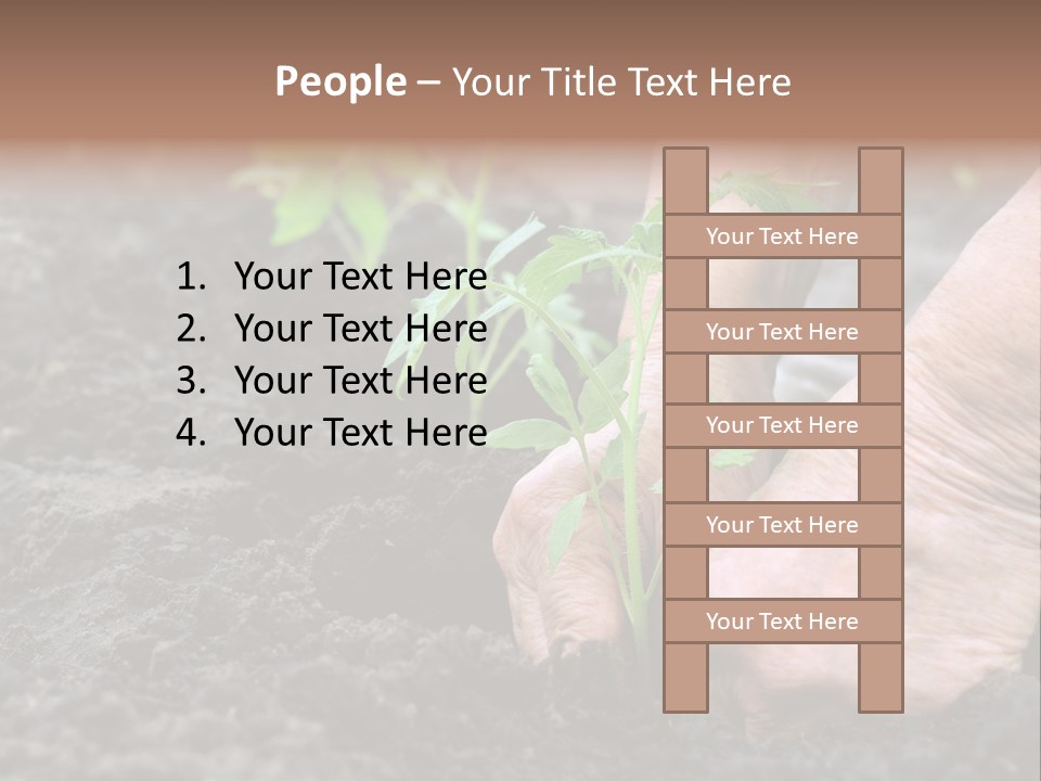 Seedling Greenhouse Sticking PowerPoint Template