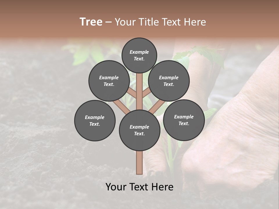 Seedling Greenhouse Sticking PowerPoint Template