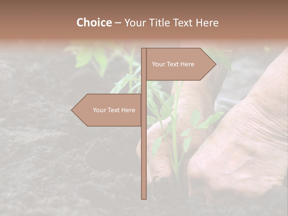 Seedling Greenhouse Sticking PowerPoint Template