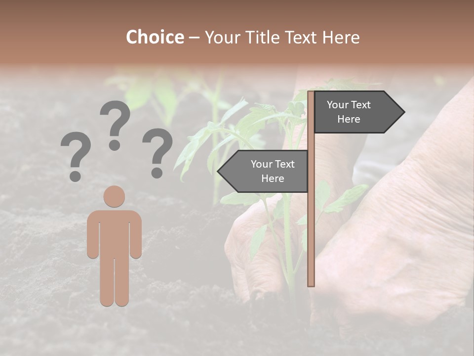 Seedling Greenhouse Sticking PowerPoint Template