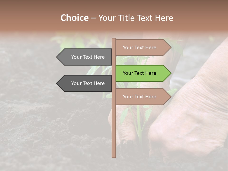 Seedling Greenhouse Sticking PowerPoint Template