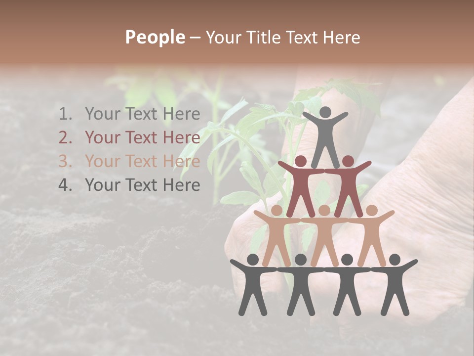 Seedling Greenhouse Sticking PowerPoint Template