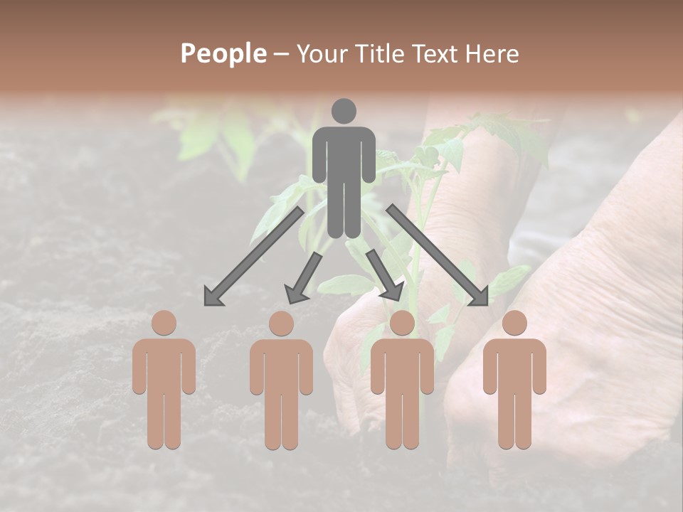 Seedling Greenhouse Sticking PowerPoint Template