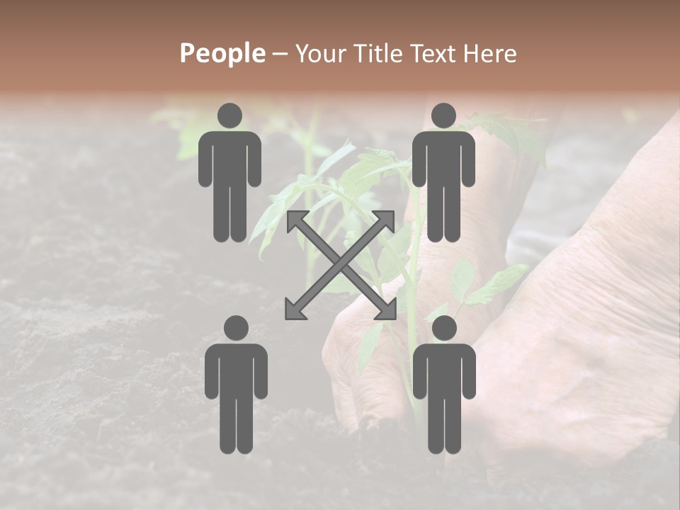 Seedling Greenhouse Sticking PowerPoint Template