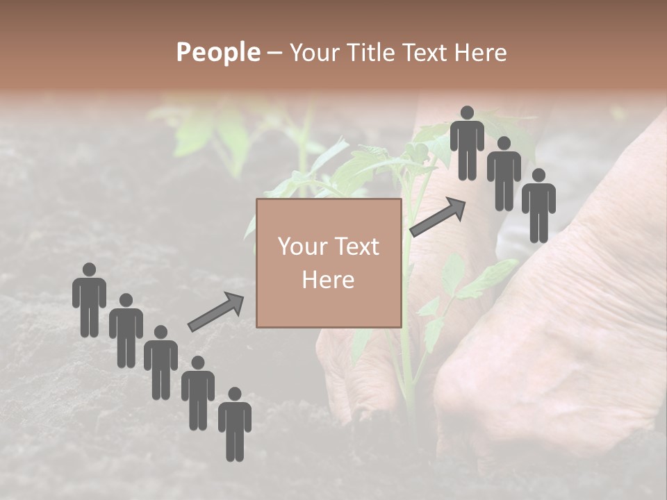 Seedling Greenhouse Sticking PowerPoint Template