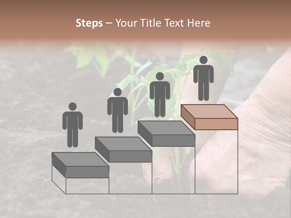 Seedling Greenhouse Sticking PowerPoint Template