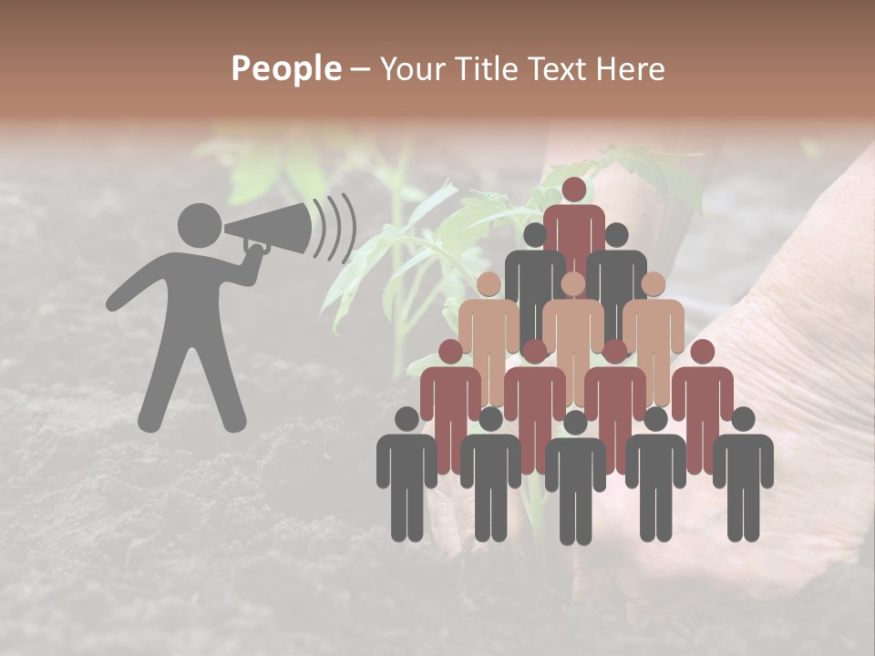 Seedling Greenhouse Sticking PowerPoint Template