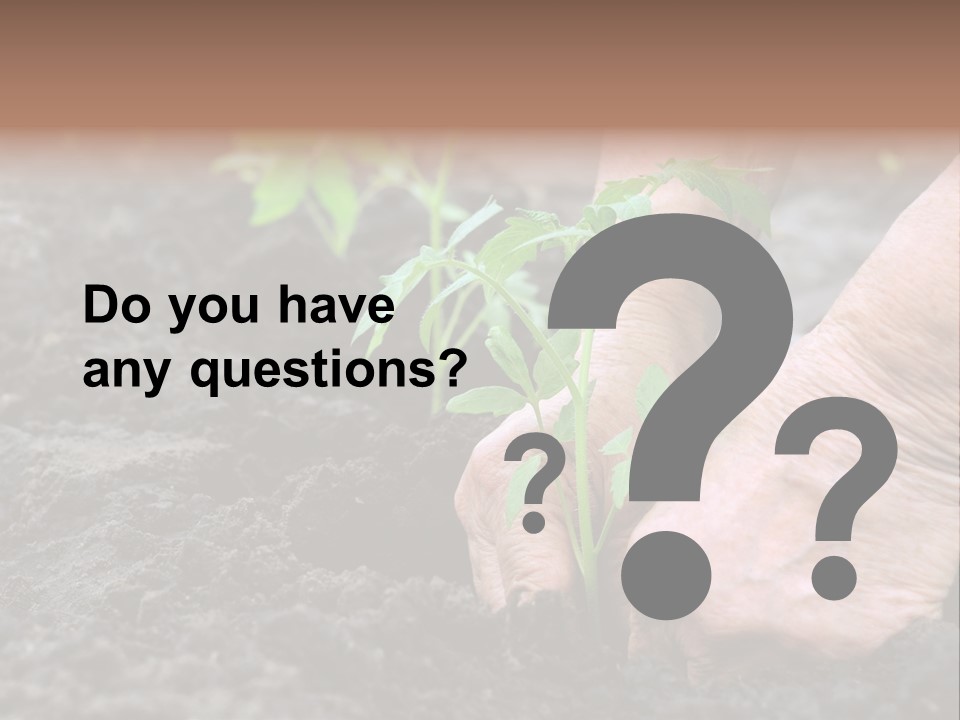 Seedling Greenhouse Sticking PowerPoint Template