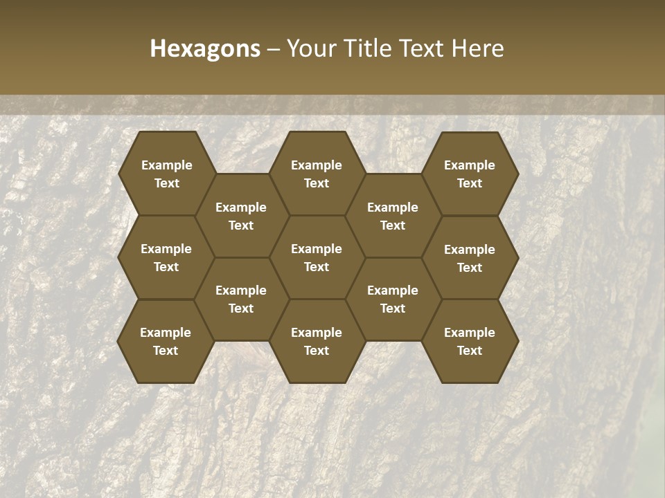 Background Natural Nest PowerPoint Template