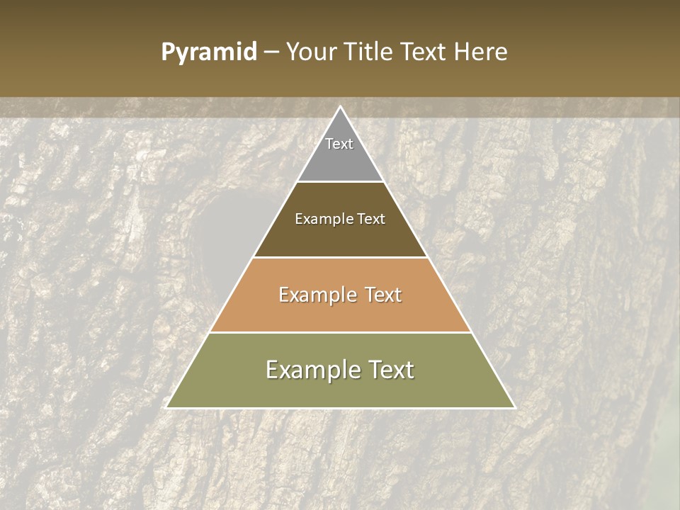 Background Natural Nest PowerPoint Template