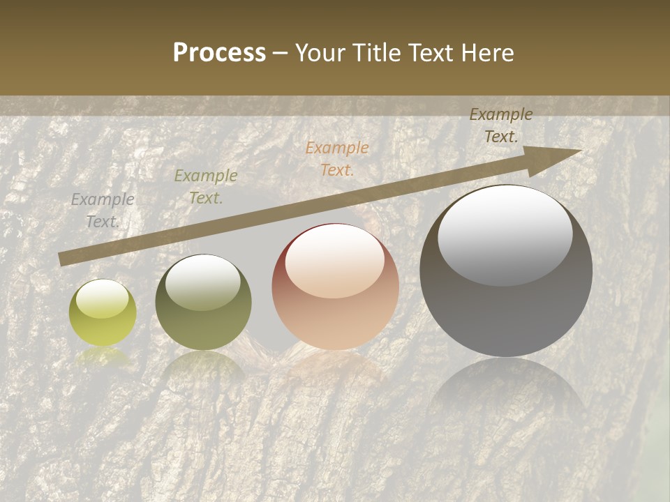 Background Natural Nest PowerPoint Template