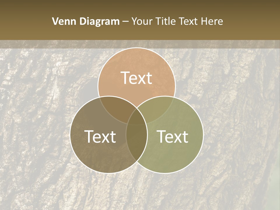 Background Natural Nest PowerPoint Template