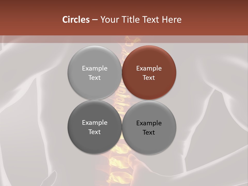 Biological Vertebra Neck PowerPoint Template