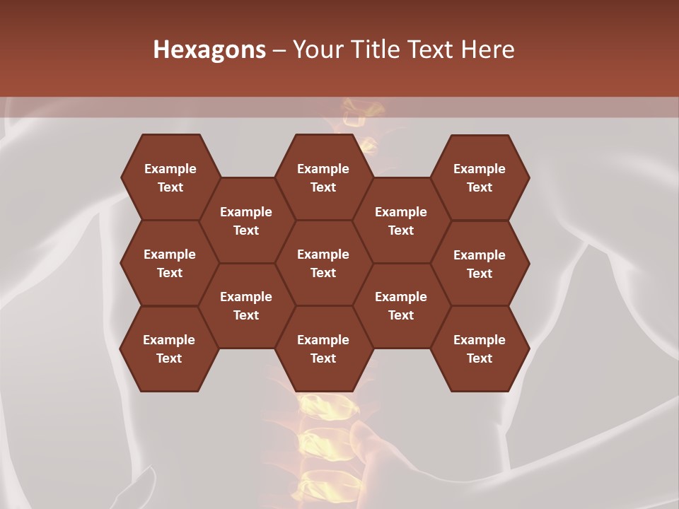 Biological Vertebra Neck PowerPoint Template