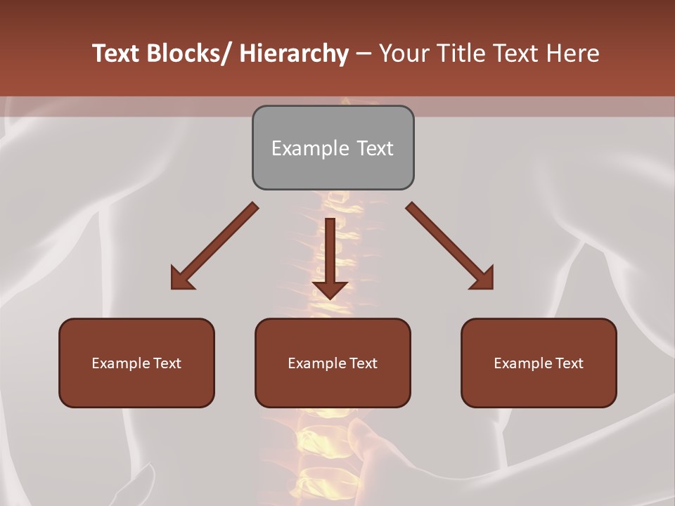 Biological Vertebra Neck PowerPoint Template