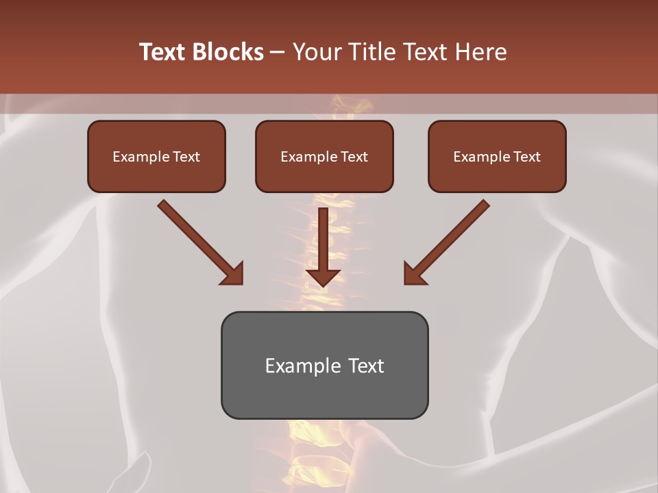 Biological Vertebra Neck PowerPoint Template