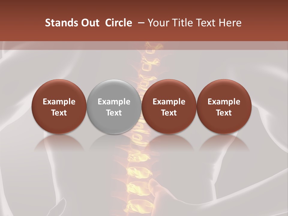Biological Vertebra Neck PowerPoint Template