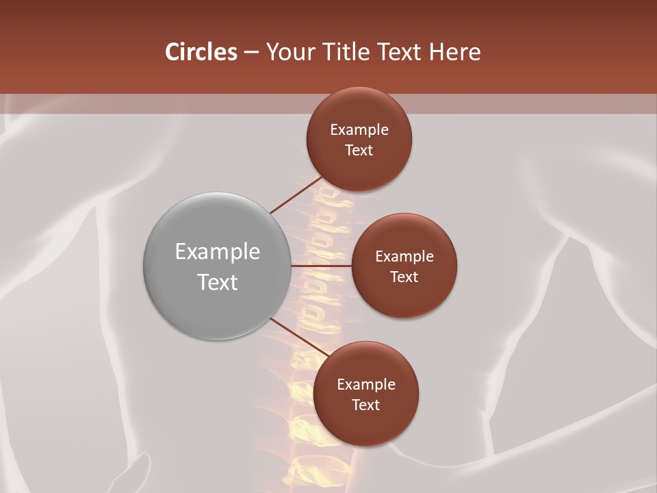 Biological Vertebra Neck PowerPoint Template