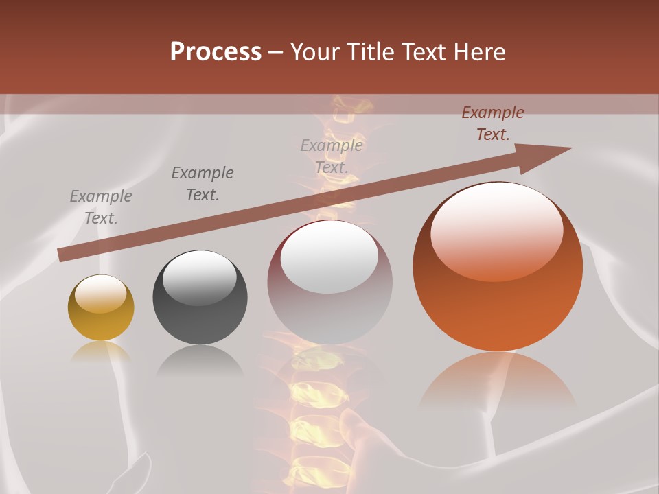Biological Vertebra Neck PowerPoint Template