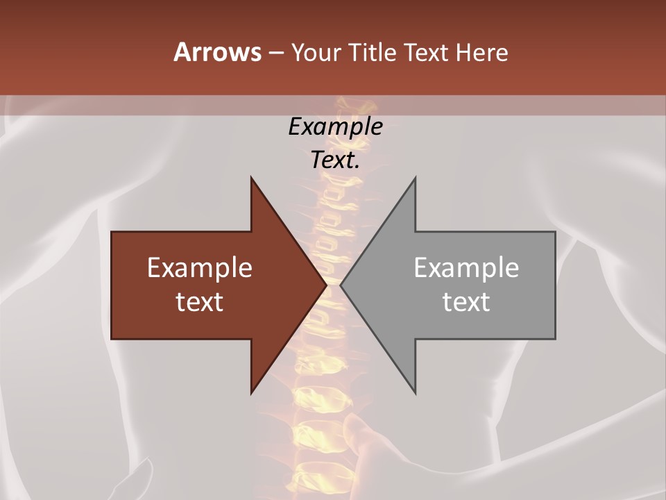 Biological Vertebra Neck PowerPoint Template