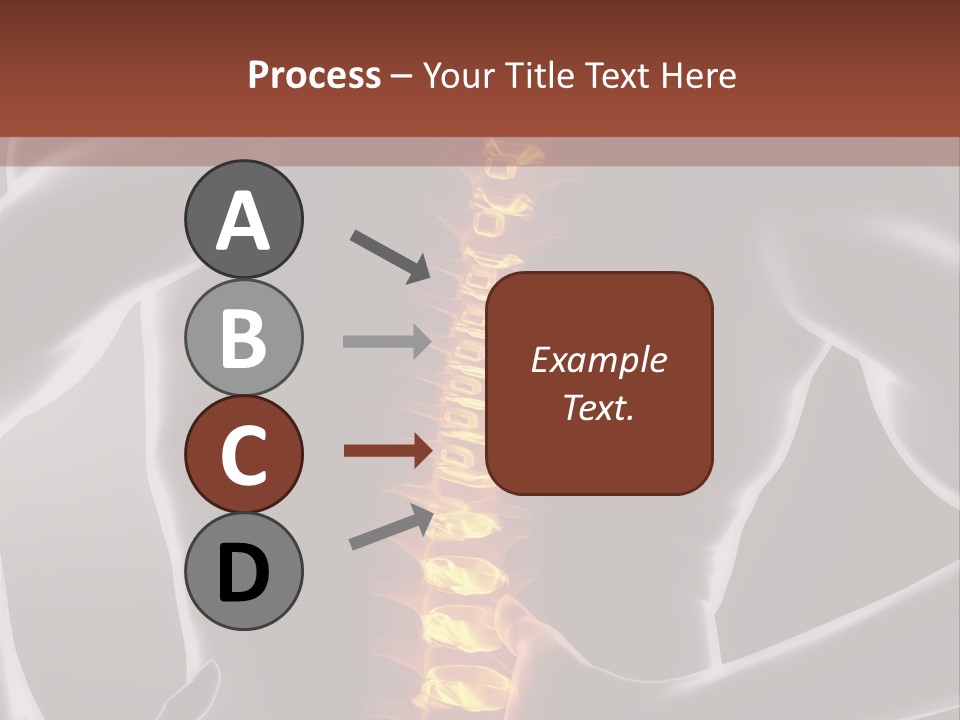 Biological Vertebra Neck PowerPoint Template