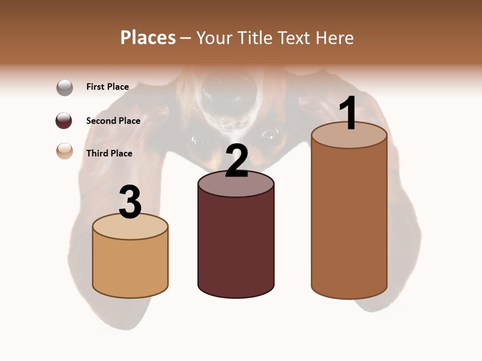 Mutt Pedigree Upside PowerPoint Template