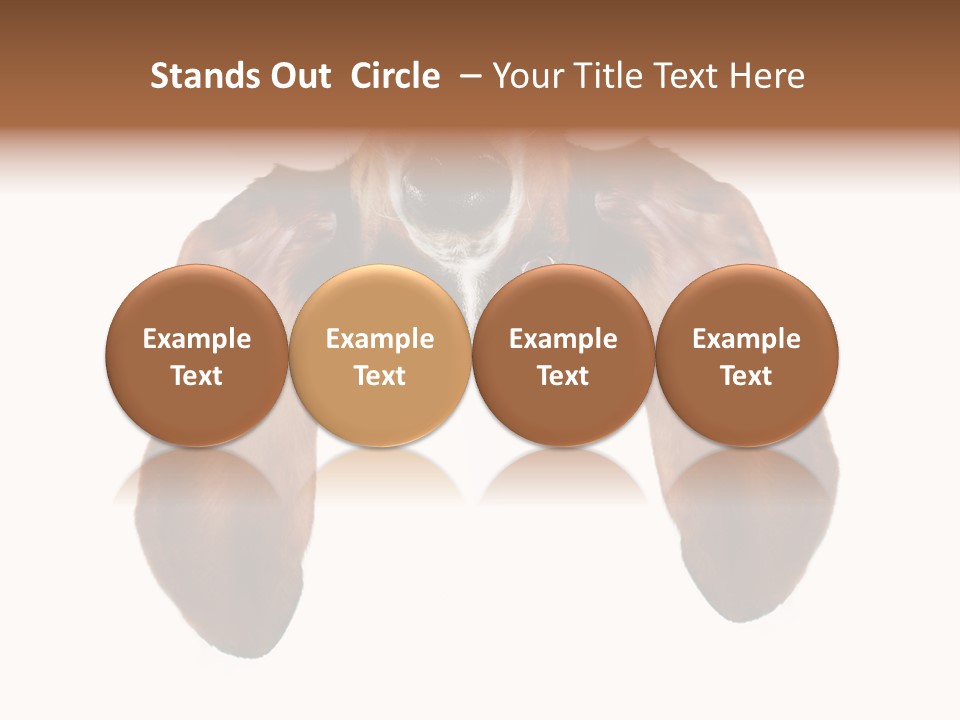 Mutt Pedigree Upside PowerPoint Template