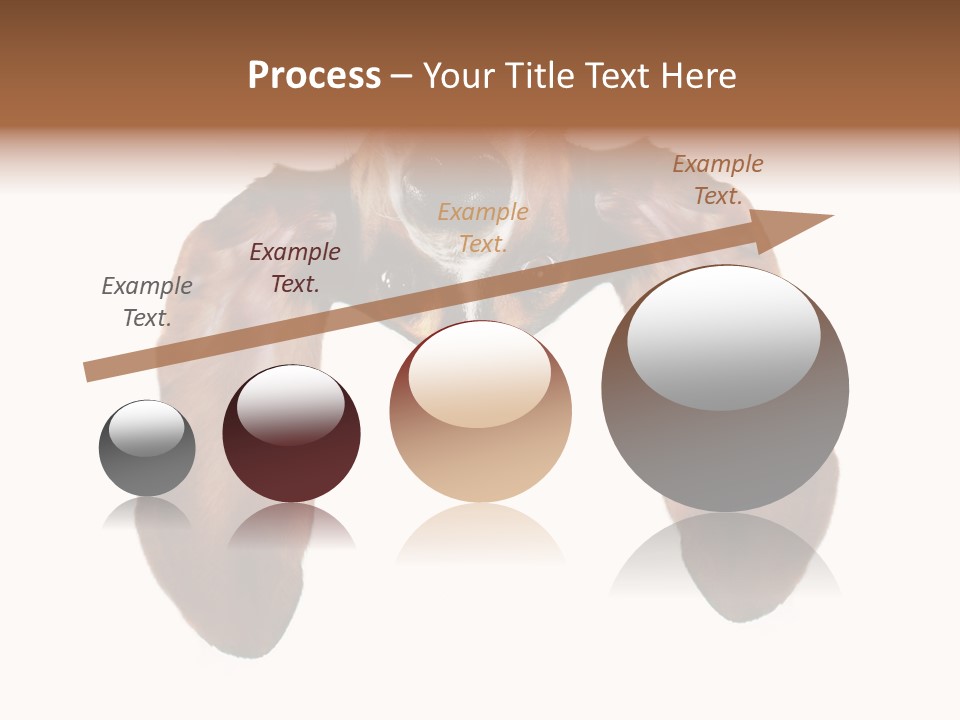 Mutt Pedigree Upside PowerPoint Template