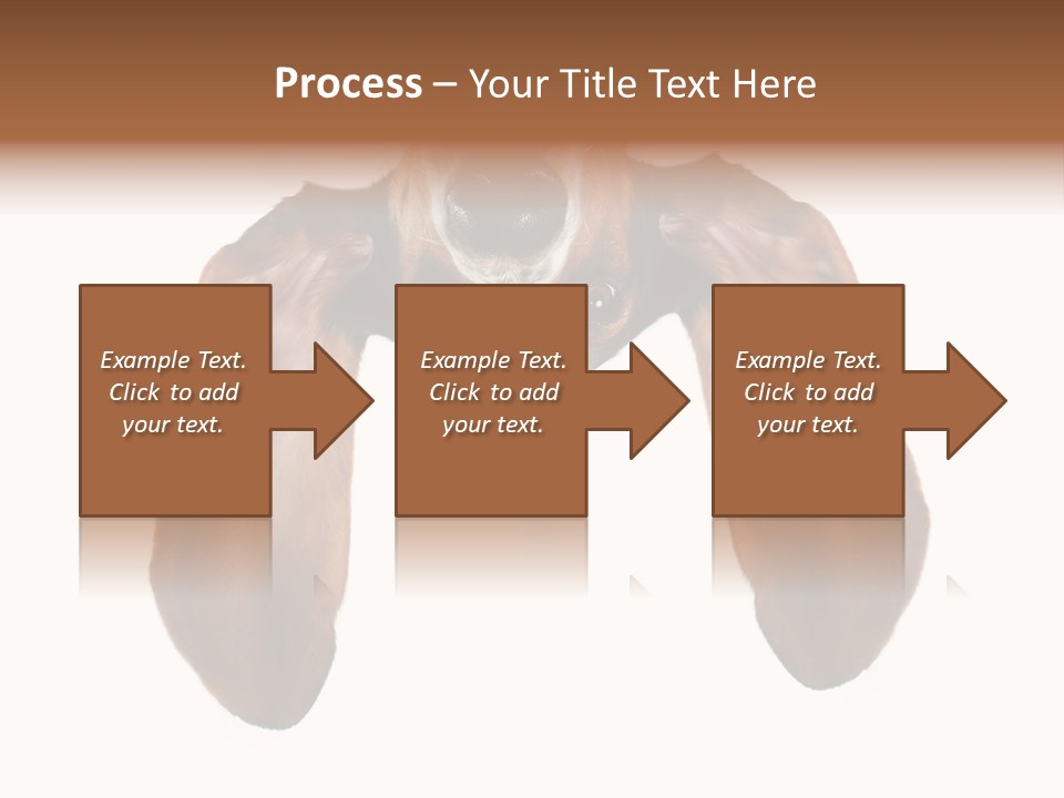 Mutt Pedigree Upside PowerPoint Template
