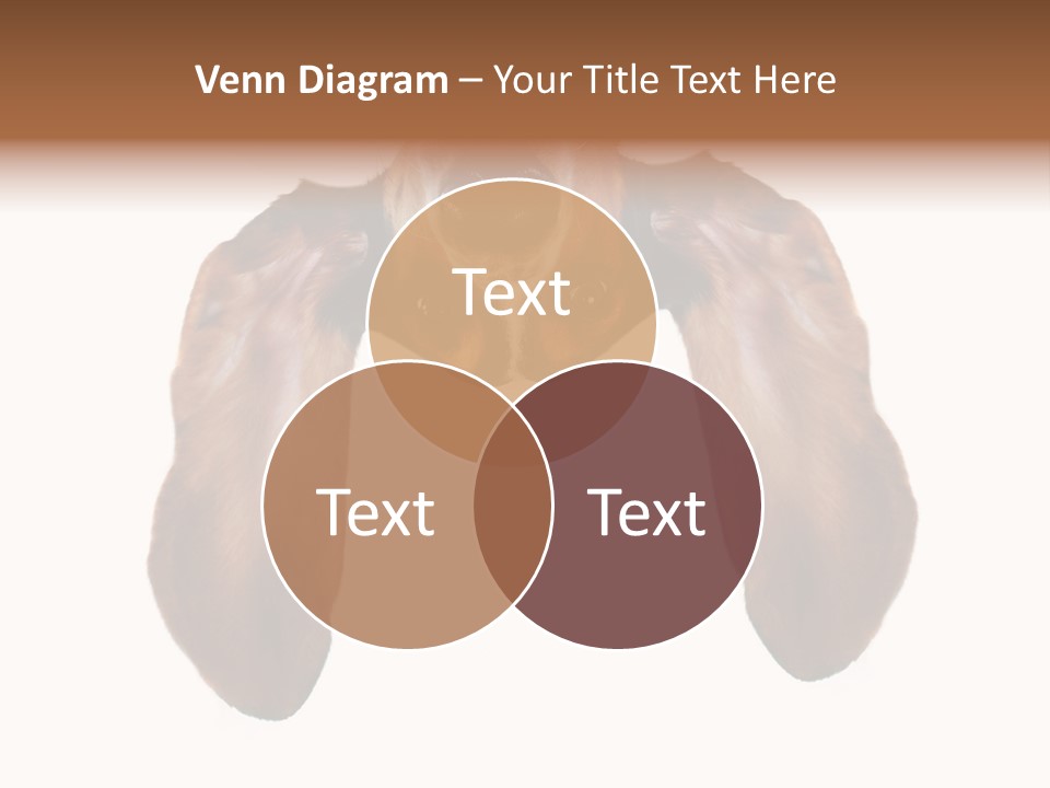 Mutt Pedigree Upside PowerPoint Template