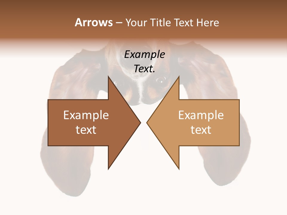 Mutt Pedigree Upside PowerPoint Template