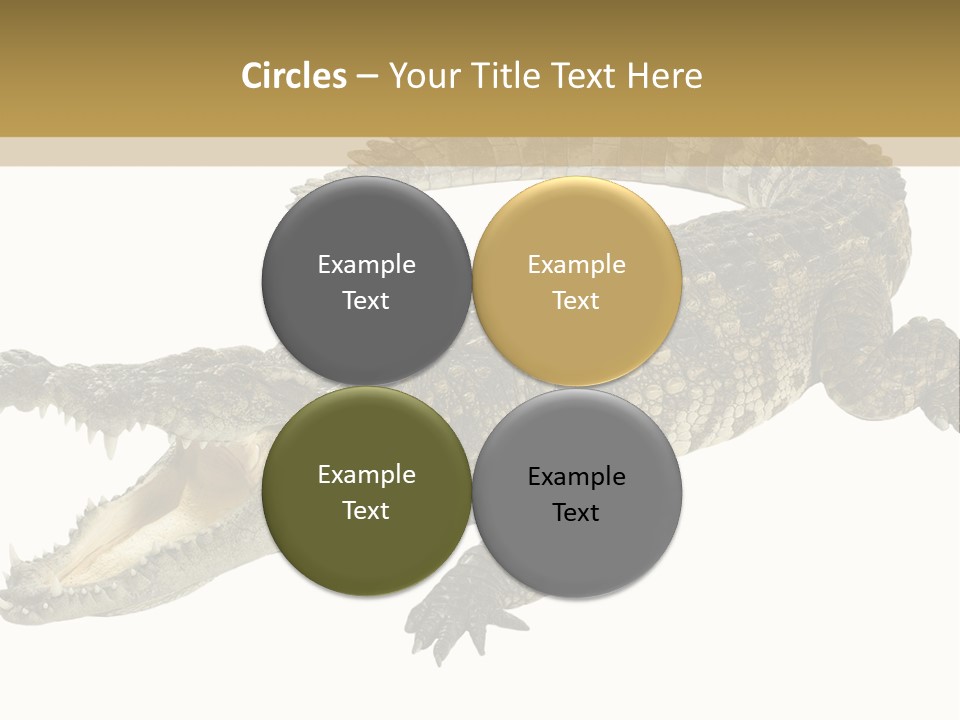 Predator Rough Skin White Background PowerPoint Template