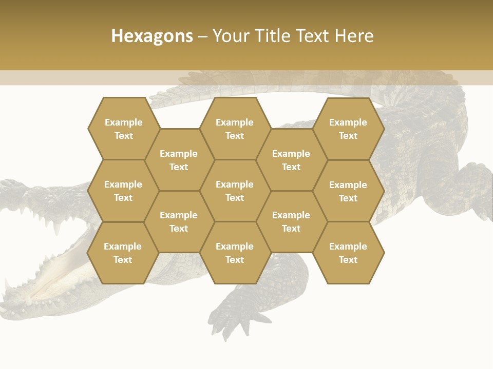 Predator Rough Skin White Background PowerPoint Template