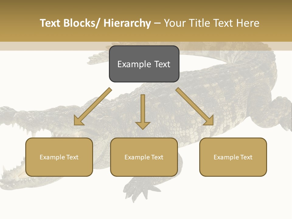 Predator Rough Skin White Background PowerPoint Template