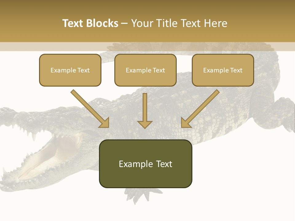 Predator Rough Skin White Background PowerPoint Template