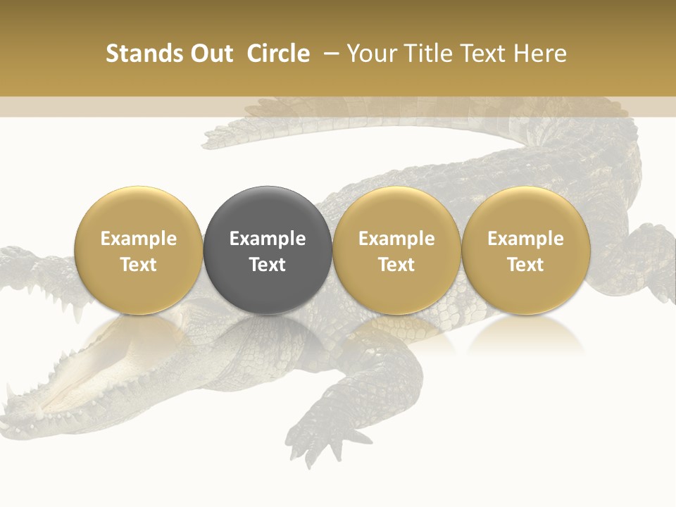 Predator Rough Skin White Background PowerPoint Template