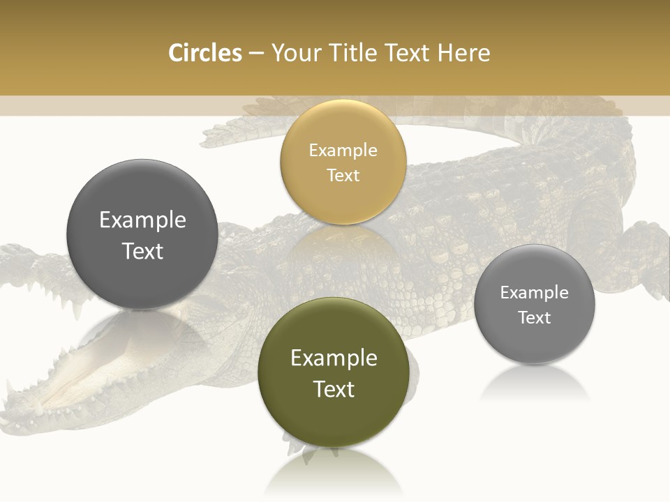 Predator Rough Skin White Background PowerPoint Template