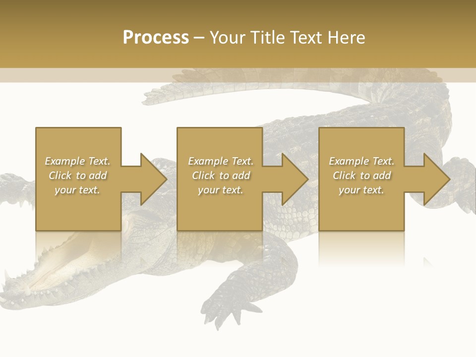 Predator Rough Skin White Background PowerPoint Template