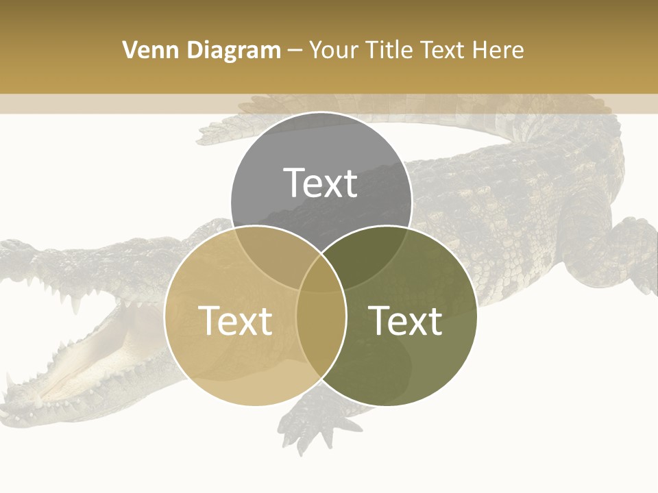 Predator Rough Skin White Background PowerPoint Template