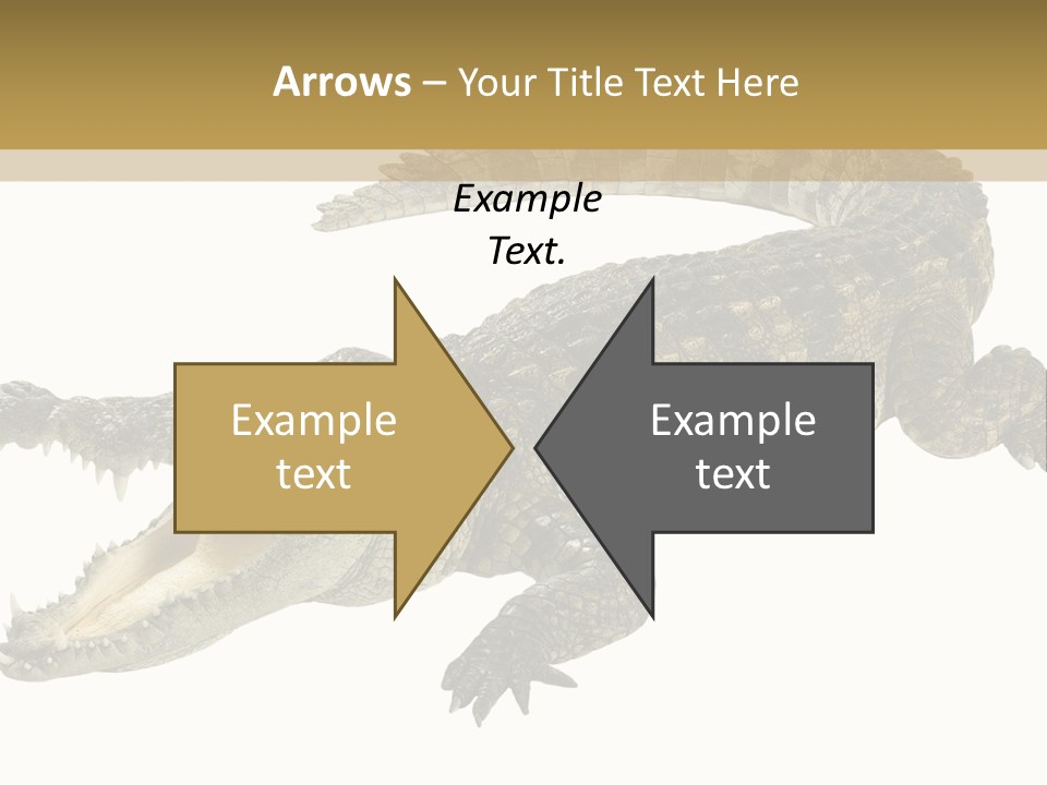 Predator Rough Skin White Background PowerPoint Template