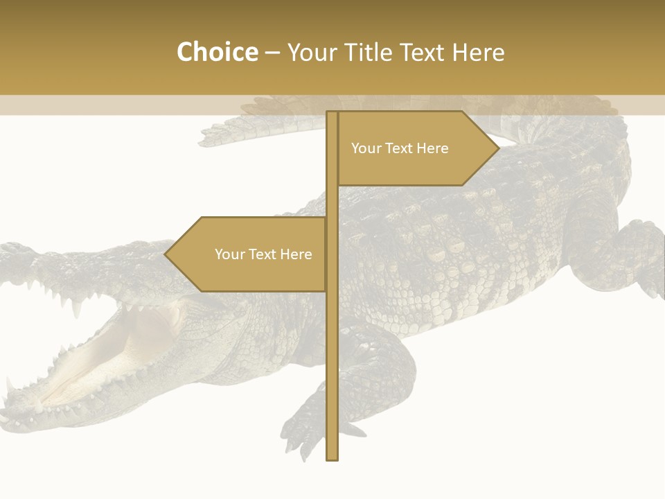 Predator Rough Skin White Background PowerPoint Template