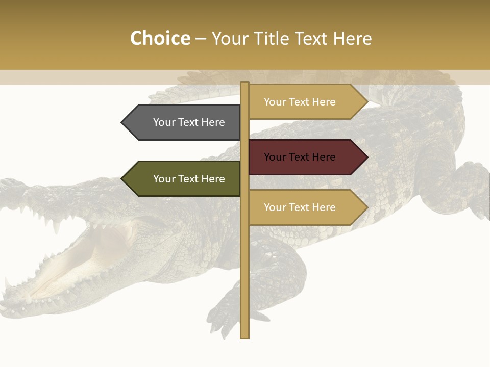 Predator Rough Skin White Background PowerPoint Template