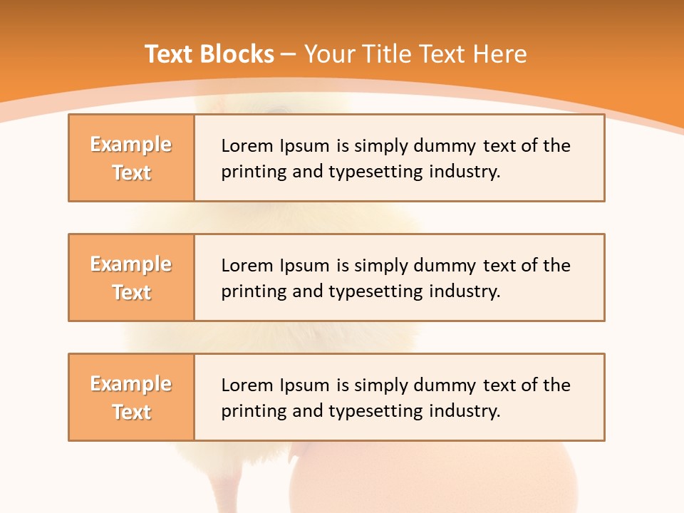 Eggs Isolated Single PowerPoint Template