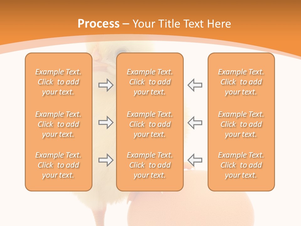 Eggs Isolated Single PowerPoint Template