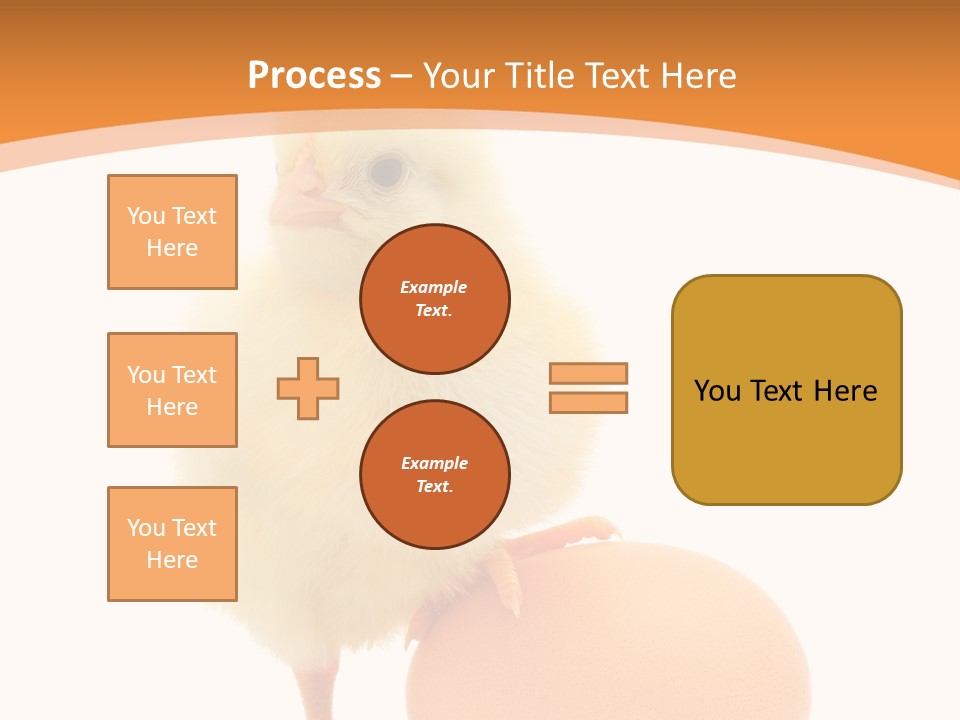 Eggs Isolated Single PowerPoint Template