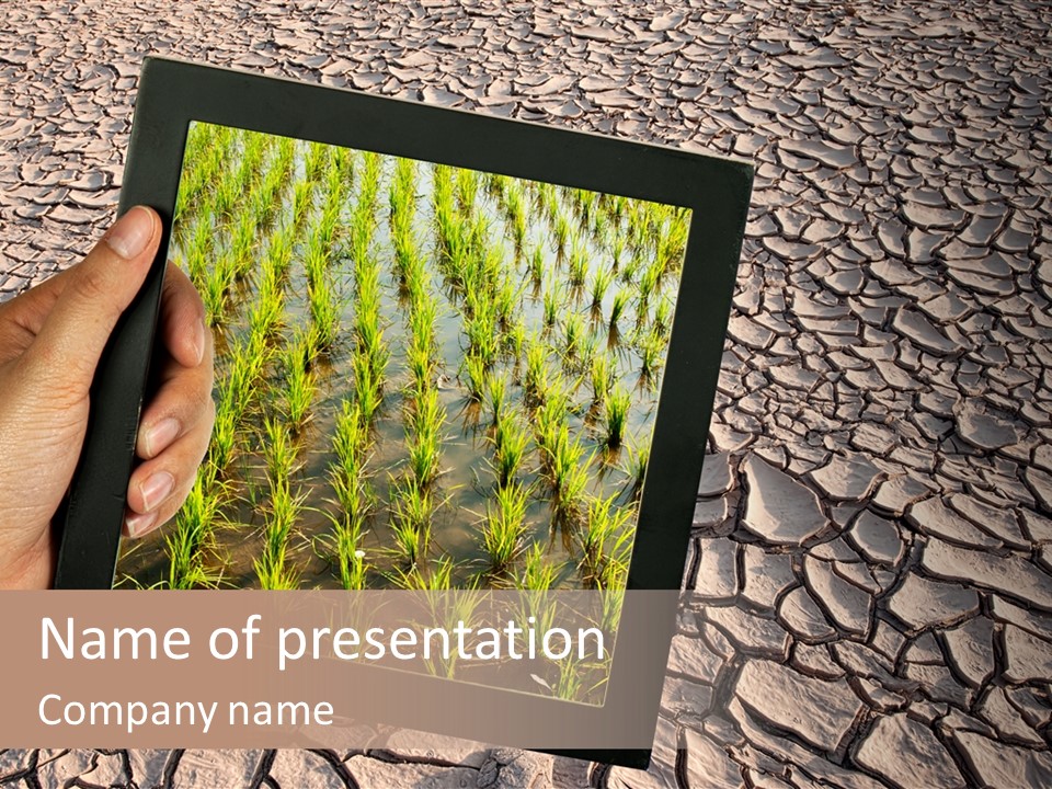 Surface Land Hot PowerPoint Template