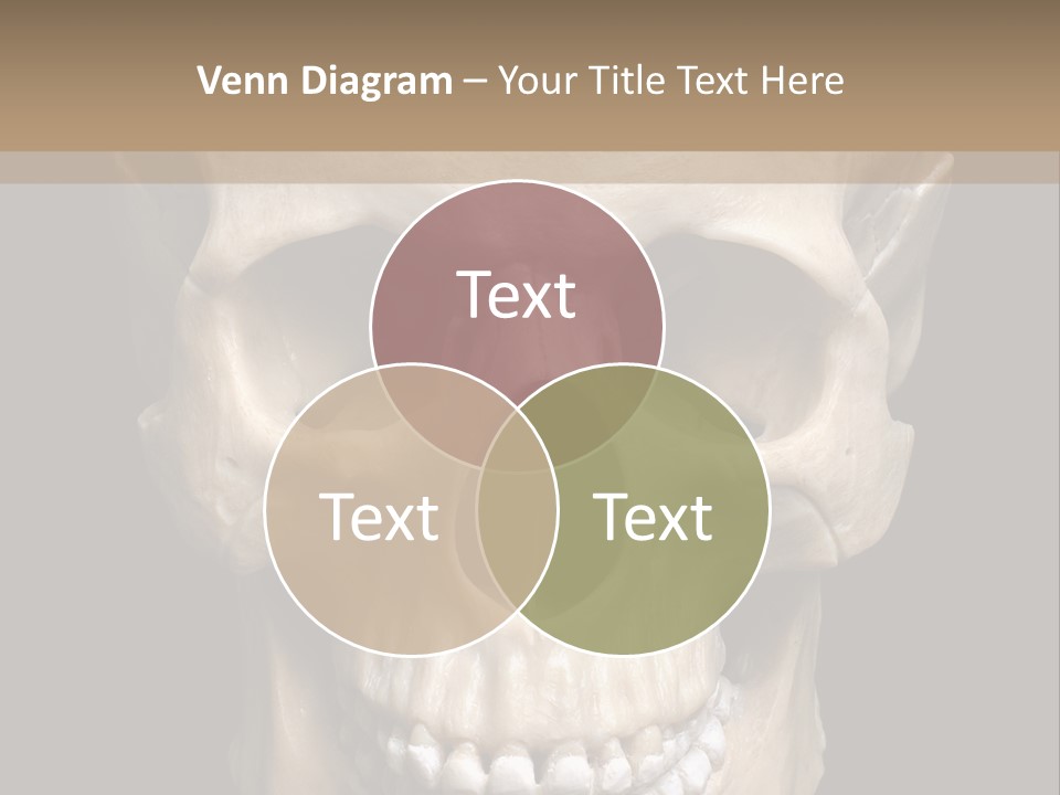 Gothic Isolated Halloween PowerPoint Template